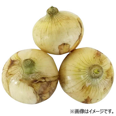 【グラム売】長崎県産など国内産 新玉ねぎ　約600ｇ