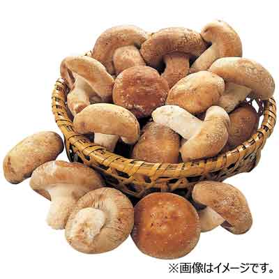 長崎県産など国内産　生椎茸（菌床栽培）　パック