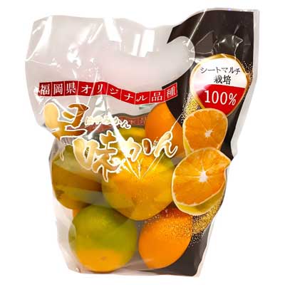 福岡県産　早味かん　1袋