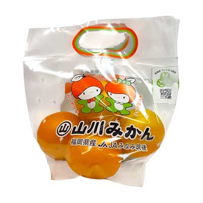 福岡県産　JAみなみ筑後　山川みかん　1袋
