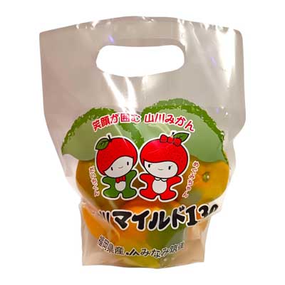 福岡県産　JAみなみ筑後　山川マイルド130みかん　１袋