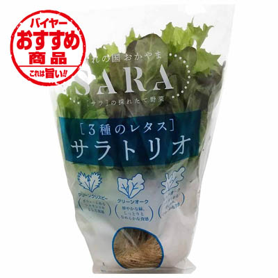 岡山県産　サラトリオ  １束