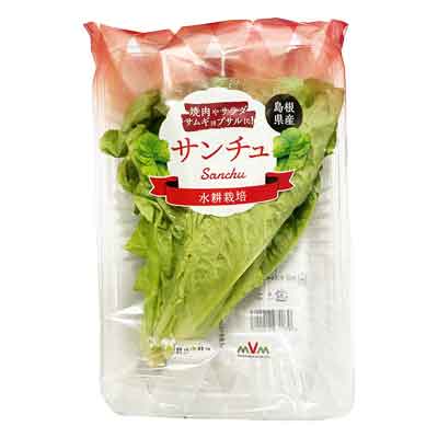 島根県産など国内産　サンチュ　1袋