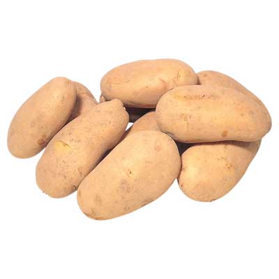 北海道産など国内産　北海こがね　1袋