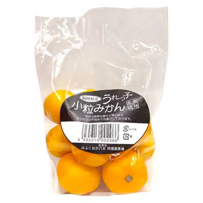 福岡県産　JAふくおか八女　うれっ子小粒みかん　１袋