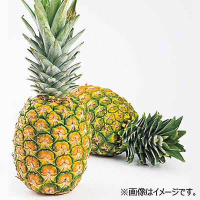 フィリピン産　葉付きパイン　１本