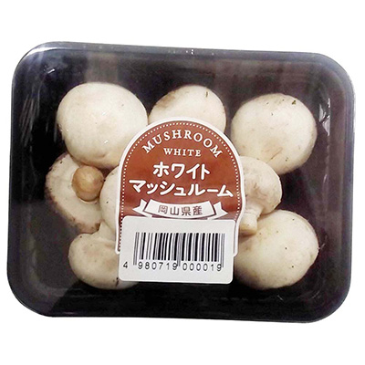 岡山県産など国内産 ホワイトマッシュルーム