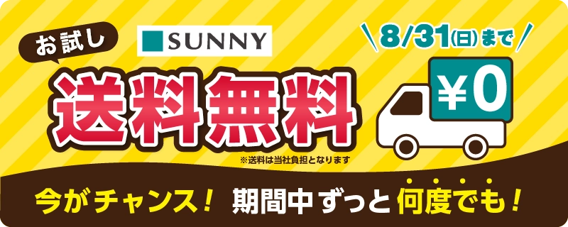 お試し送料無料　今がチャンス！期間中ずっと何度でも！8月31日日曜日まで